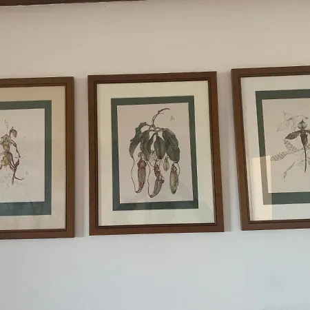 Maison Mard'or Sylvae 3*