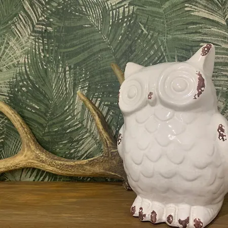 Maison Mard'or Sylvae