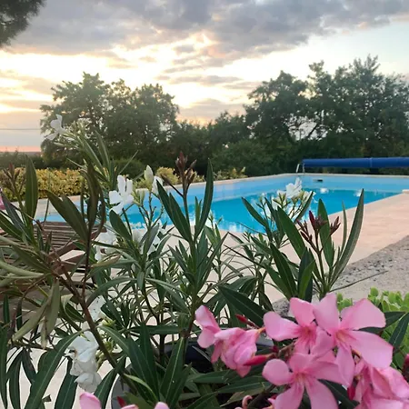 B&B Maison Mard'or Sylvae